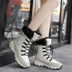 b950940860cb2bb816deb7755346c8d6